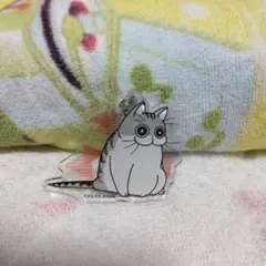 夜は猫といっしょ　キュルガ　オンラインくじ　アクリルキーホルダー