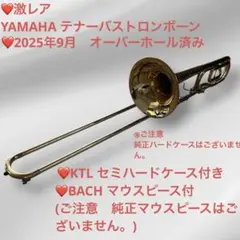 Item thumbnail for item ca676812-088f-414e-b13c-ab59db1f6de7