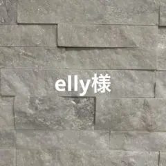 elly様専用　お支払い期限12/25日10時迄