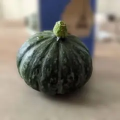 ハロウィン用