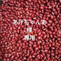 あけちゃんあ　様　専用