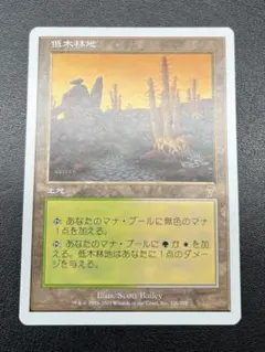 26184 マジック:ザ・ギャザリング 鋭き砂岩 - メルカリ