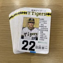 2025年最新】田淵幸一の人気アイテム - メルカリ