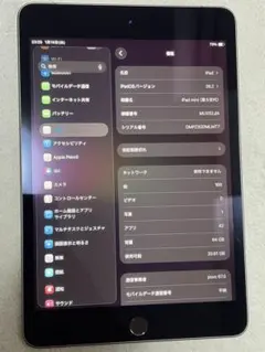 iPad mini5 Wi-Fi+Cellularモデル 64GB SIMフリー
