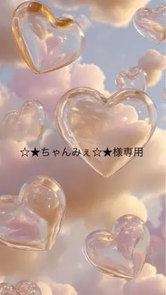 ☆★ちゃんみぇ☆★様専用