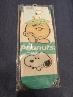 Item thumbnail for item 95535a71-e6f3-40fb-bb0b-db431afa536c