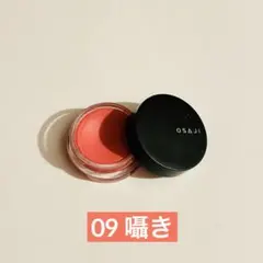 osaji ニュアンスフェイスカラー09のサムネイル