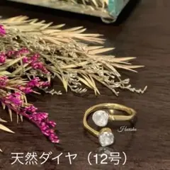 Item thumbnail for item 7053090f-af1f-45b4-bd36-37e71276fb3e