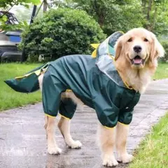 Item thumbnail for item 1294fd43-872f-490c-9fd8-e0940a12956e