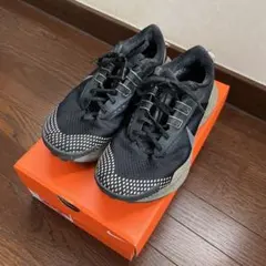 NIKE ペガサス トレイル 3 メンズ ランニングシューズ　25cm