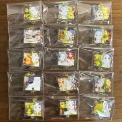鬼滅の刃　隊士百景　竈門炭治郎 絆アクリルチャーム　全15種セット　新品未開封 2026年最新】絆アクリルチャームの人気アイテム - メルカリ