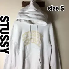 極希少　STUSSY ステューシー　チャンピオン　champion