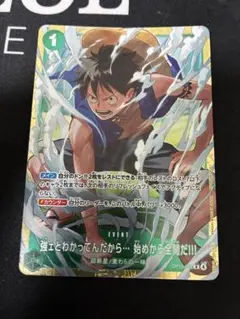 強ェとわかってんだから始めから全開だ！！ルフィスタンダード