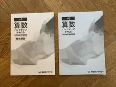 【最新版】小6 算数　バックアップ テキスト　早稲田アカデミー　予習シリーズ 早稲田アカデミー 小6 算数 バックアップテキスト - メルカリ