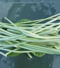 生わさびの茎のサムネイル