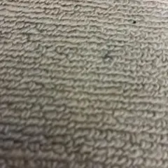 Item thumbnail for item 0cb8a462-1793-4225-b116-369c620365a6