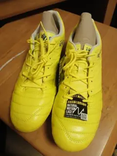 Item thumbnail for item 764a44f5-146b-4d94-923b-575a129b3346