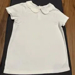 Item thumbnail for item f7ce7690-ebb2-478b-b49f-64292811a868