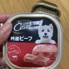 Item thumbnail for item 0a147a38-971c-43d5-993a-aa894c8da46f