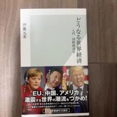 どうなる世界経済 : 入門国際経済学