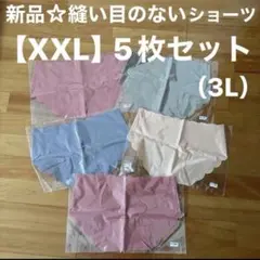 数量限定！！新品☆シームレス縫い目のないショーツ【XXL】5枚セット【3L】
