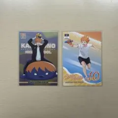 ハイキュー!! 烏野高校 日向翔陽 ピクタス