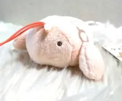 よこみぞゆり　なんでもいきもの　マスコット　エビ　ストラップ