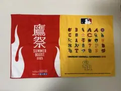 ソフトバンクホークス 応援ハンドタオル 2枚セット