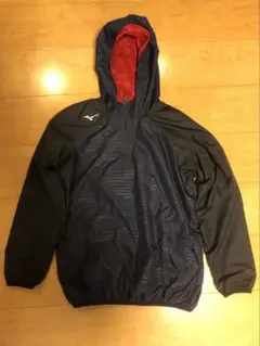 Item thumbnail for item 0350f10d-1421-4d15-89cf-95c604db3e8f