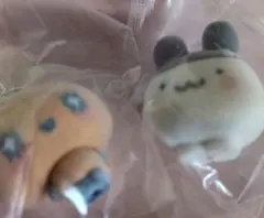 カプセル フロッキーズ たまごっち みみっち　めめっち