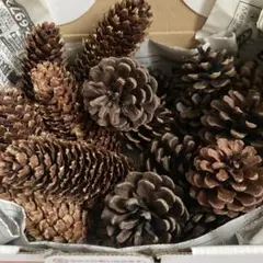 Item thumbnail for item 5ab186ce-2721-48ff-addd-f8ce93fa80f0