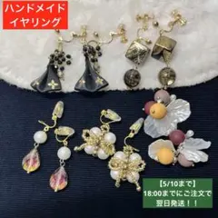 大人気！フラワー装飾のカジュアルイヤリング5ペアセット　限定！