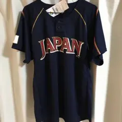 Item thumbnail for item 1d389827-1a1c-4742-8499-73c84c578a15