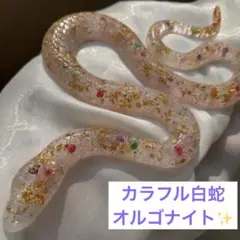 蛇の抜け殻入り】白蛇のオルゴナイトコースター - メルカリ