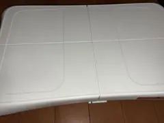 日焼けなし、液漏れあり　Wii Fit Balance Board