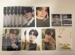 ald1 サンヒョン　トレカ14枚セット