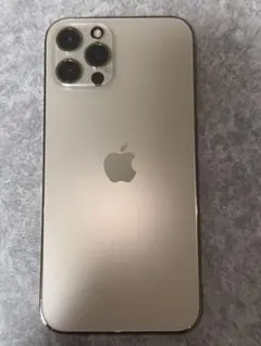 Apple iPhone 12 Pro ゴールド 256GB 希望でおまけ2点