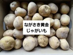 くまちゃんページ　ながさき黄金15kg 2026年最新】ながさき黄金 じゃがいもの人気アイテム - メルカリ
