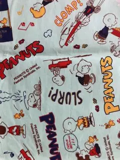 Item thumbnail for item 91ac1ad3-f593-41cf-b011-33d4264a7200