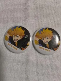 ハイキュー‼︎ 日向翔陽 缶バッジコレクション 横断幕