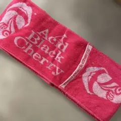 Acid Black Cherry Shangri-la Tour タオル