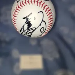 Item thumbnail for item 35550231-4b14-4102-86e8-5e95e16d7ed6