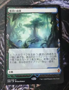 MTG】霧深い雨林 日本語版 4枚 - メルカリ