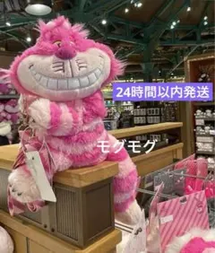 チェシャ猫 ぬいぐるみ かぼちゃ付き チェシャ猫 ぬいぐるみ かぼちゃ付き - メルカリ