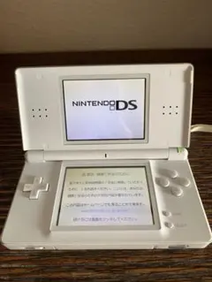 任天堂 ニンテンドーDS Lite 本体 箱付き　オマケあり