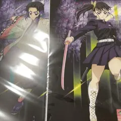 一番くじ 鬼滅の刃 ～雷の兄弟～ G賞 胡蝶しのぶ カナヲ