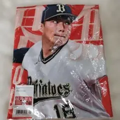 Item thumbnail for item 5c8b94a5-0974-4d1c-9236-cbd4c90f2675