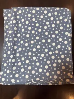 Item thumbnail for item 2aeafe7b-07dd-4494-b662-cf48bd248ade