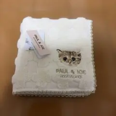 未使用　ポール&ジョー ネコちゃんハンカチ