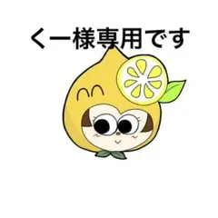 くー様専用です